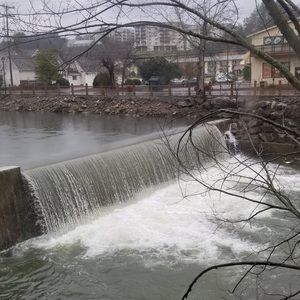 Meet your Posher, Ibe